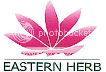 E-T-H_logo