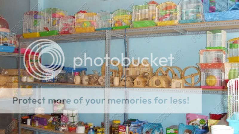 Tân Phú Shop hamster thức ăn vật dụn