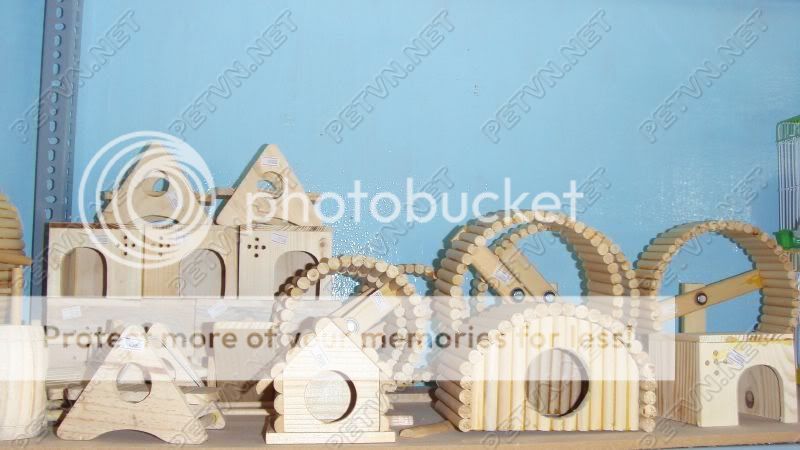 Tân Phú Shop hamster thức ăn vật dụn