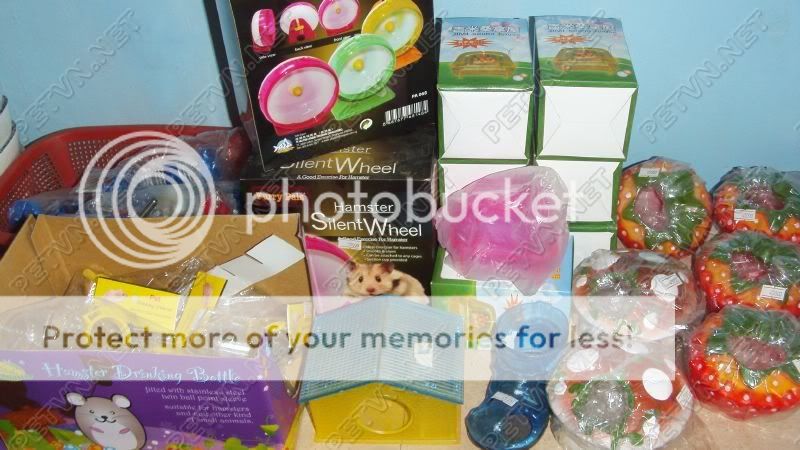 Tân Phú Shop hamster thức ăn vật dụn