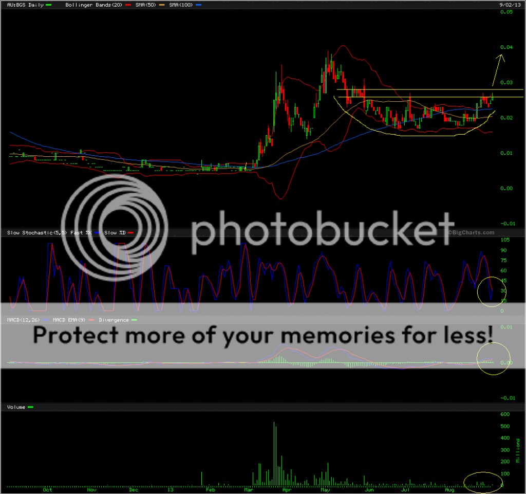  photo BGS020910_zps697be696.png
