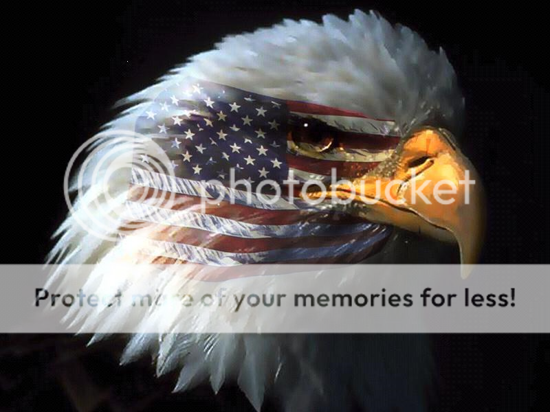 eagle.png