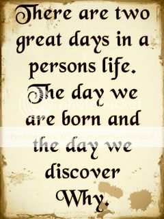 life 3 Pictures, Images and Photos