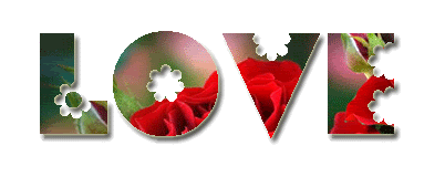 LOVE Pictures, Images and Photos