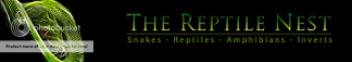 Snakes, Reptiles, Amphibians and more