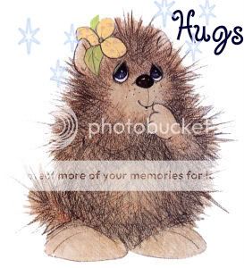 hedgehog.jpg picture by katndave11
