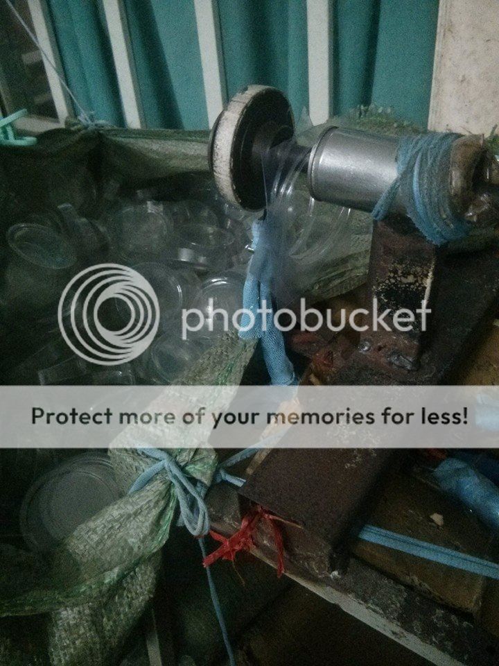 Chuyên cung cấp nắp nhang ống với số lượng lớn - 4