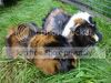 DSC04835small.jpg