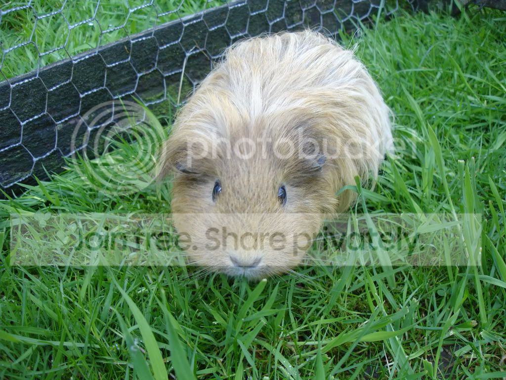 DSC05535.jpg
