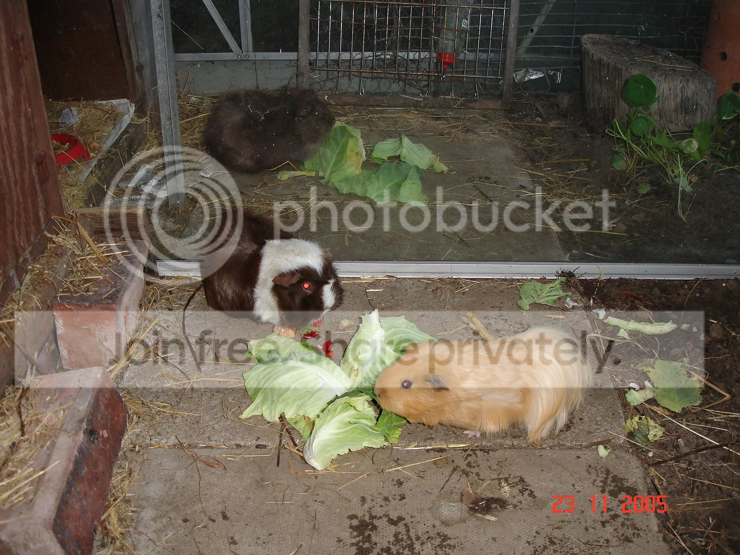 TrialPictures036.jpg